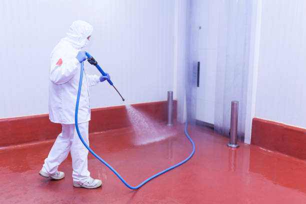 Best Graffiti Removal  in Findlay, OH